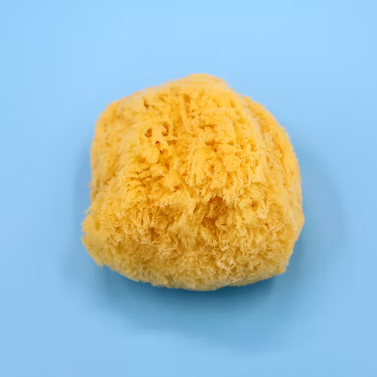 Necessità quotidiane più vendute, spugna di mare in lana greca naturale, spugna di mare in lana